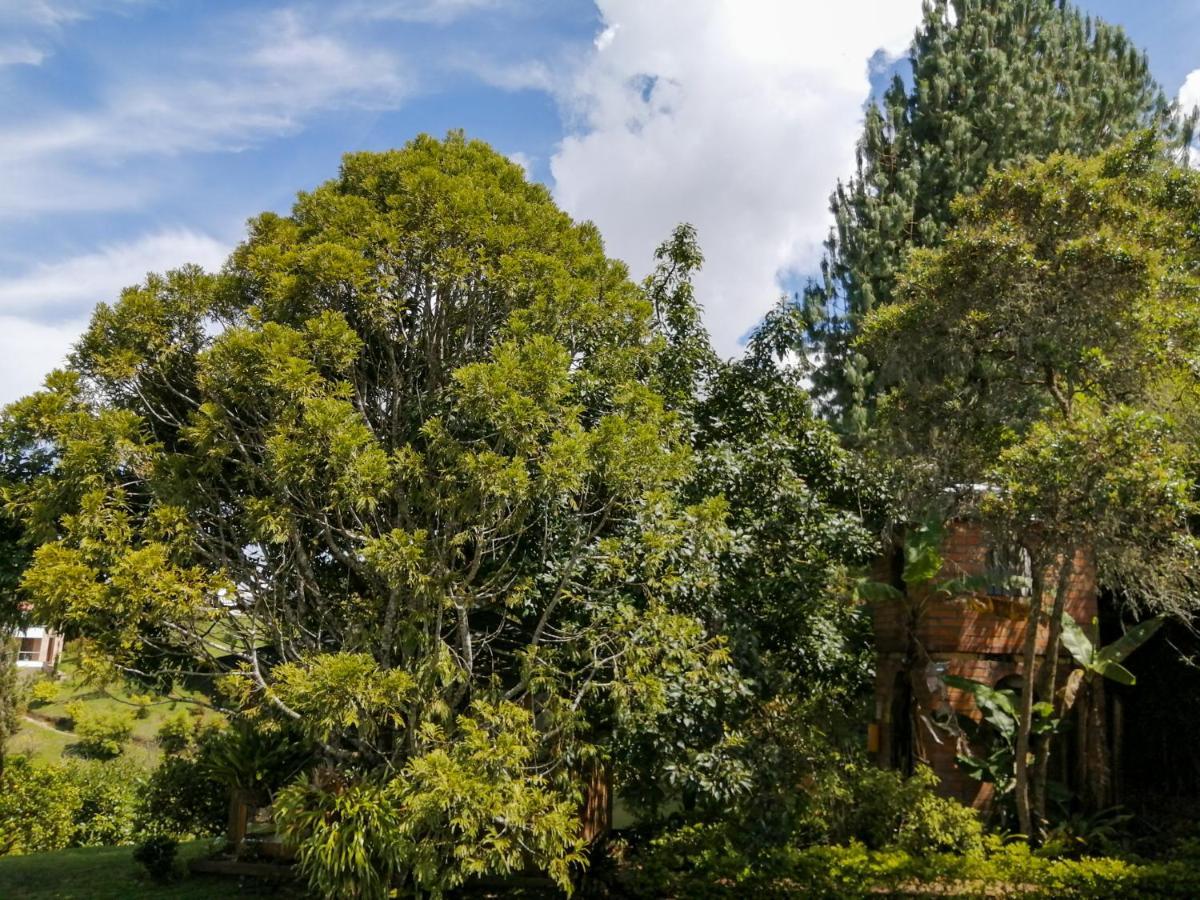 Hotel Hevilat Paraiso De Oriente リオネグロ エクステリア 写真